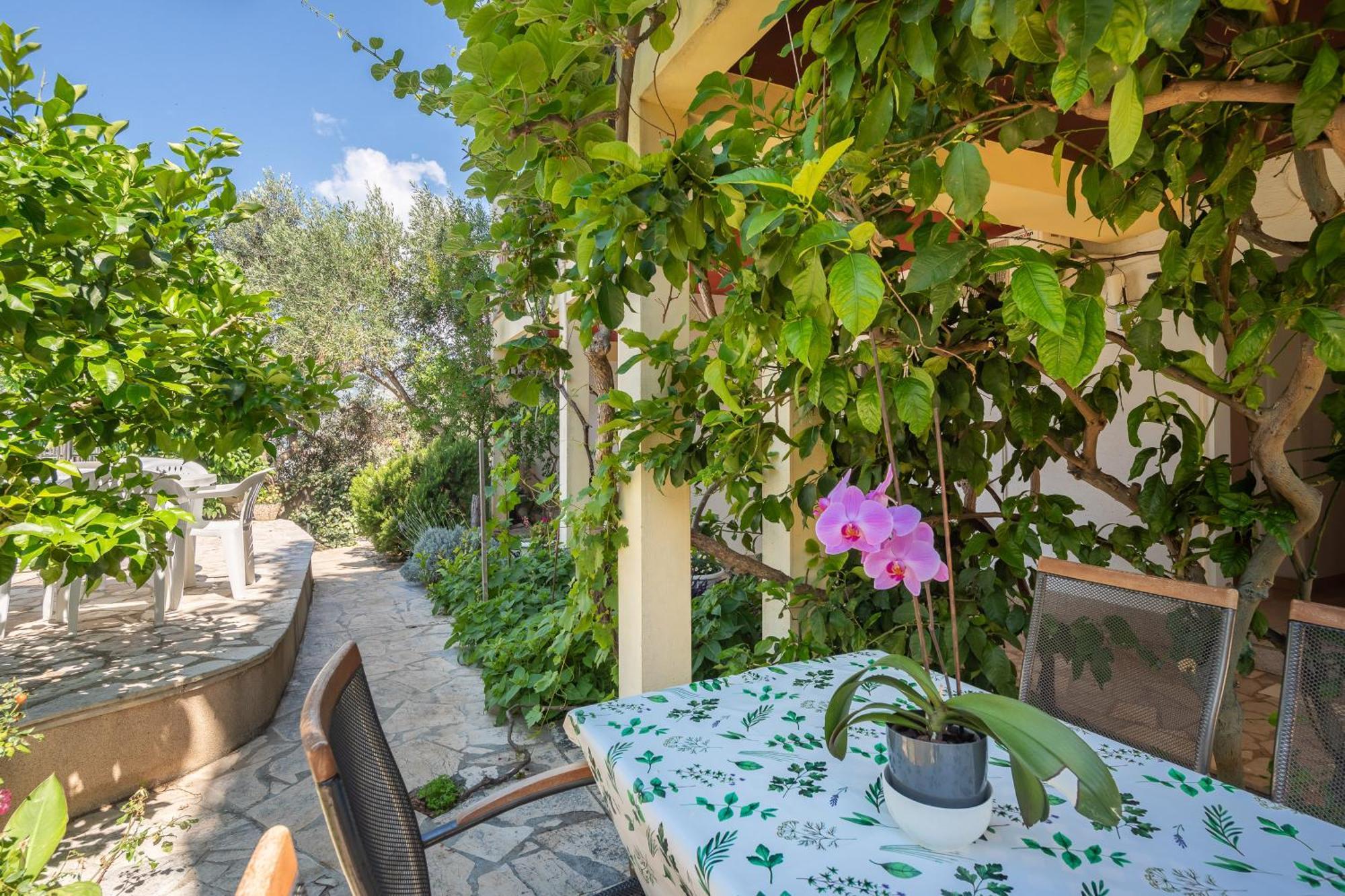 Apartments Roza Omis Luaran gambar